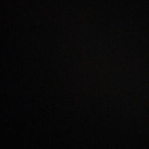 Meet your Posher, Isabella